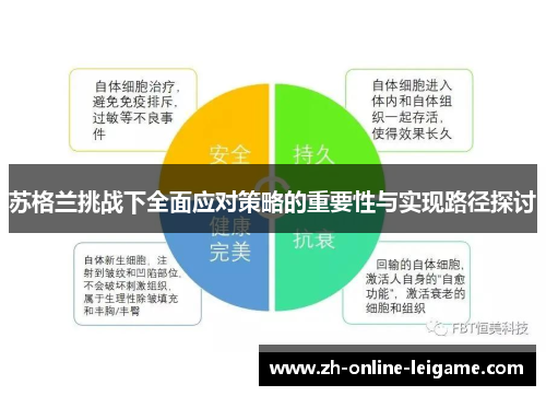 苏格兰挑战下全面应对策略的重要性与实现路径探讨