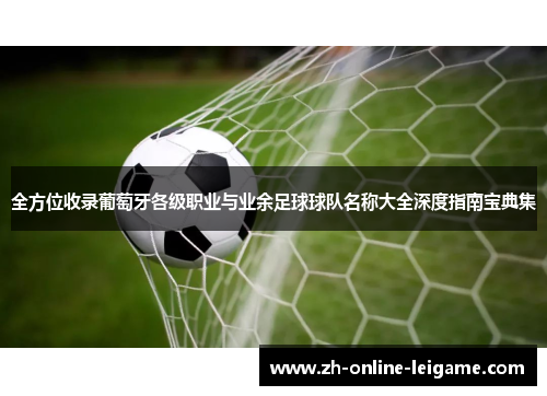 全方位收录葡萄牙各级职业与业余足球球队名称大全深度指南宝典集